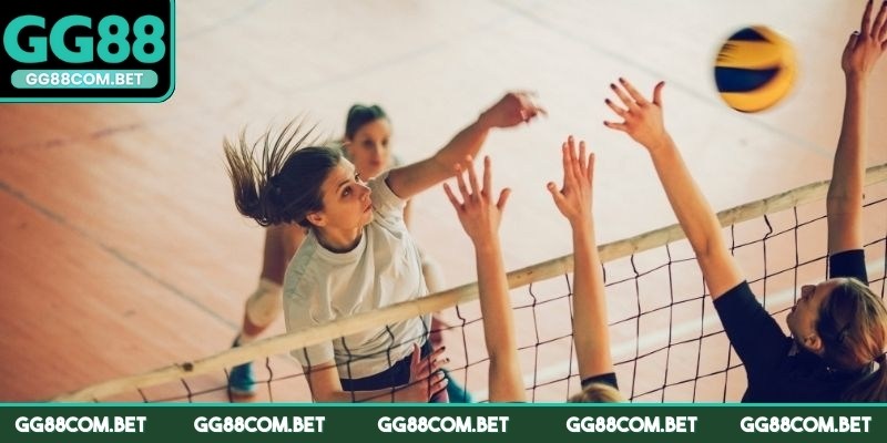 Bỏ túi những kinh nghiệm chơi cá cược bóng chuyền nhanh thắng
