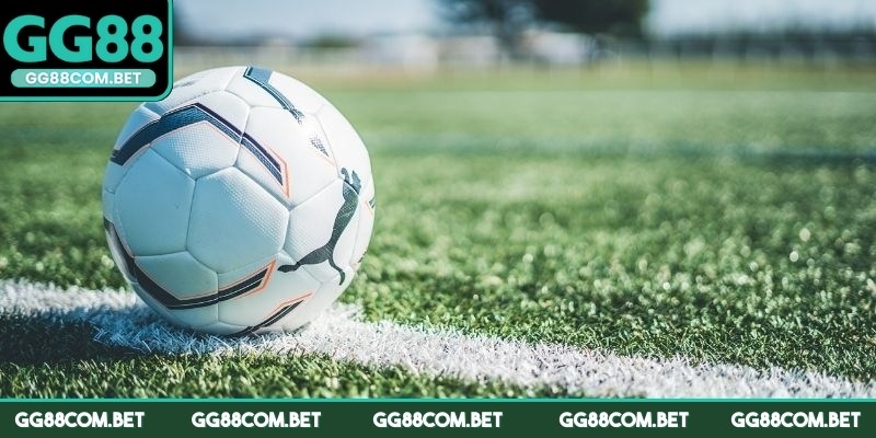 Có nhiều loại cược phổ biến tại nhà cái